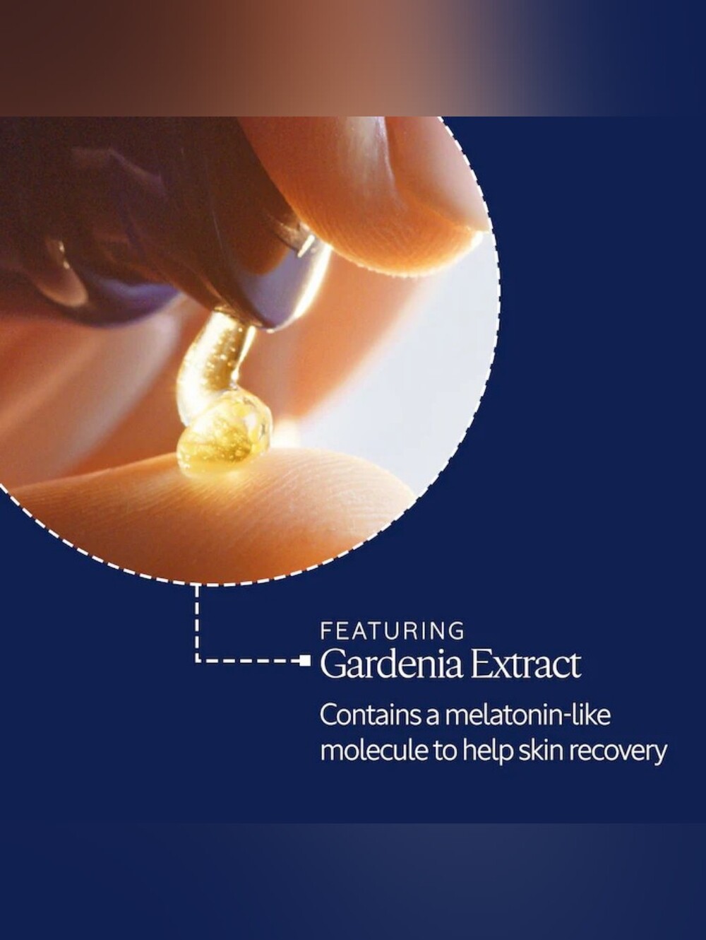 L'Occitane Age-Defying  Immortelle Overnight Reset Night Oil-In Serum - Picture 3 of 6